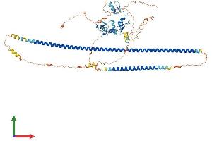 AlphaFold protein structure predicition of Human Recombinant ZNF853 Protein, UniprotID P0CG23