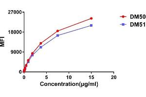 Affinity ranking of different Rabbit anti-C mAb clones by titration of different concentration onto Raji cells.