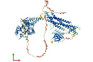 AlphaFold protein structure predicition of Mouse Recombinant Dnm2 Protein, UniprotID P39054