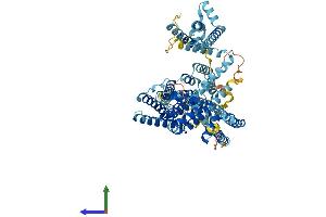 AlphaFold protein structure predicition of Human Recombinant TPCN2 Protein, UniprotID Q8NHX9