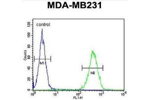 ST7 Antibody (Center) flow cytometric analysis of MDA-MB231 cells (right histogram) compared to a negative control cell (left histogram).