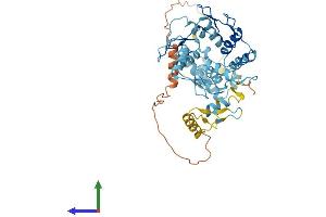 AlphaFold protein structure predicition of Human Recombinant ZNF736 Protein, UniprotID B4DX44