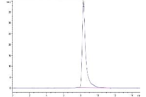 The purity of Mouse IL-11R alpha is greater than 95 % as determined by SEC-HPLC.