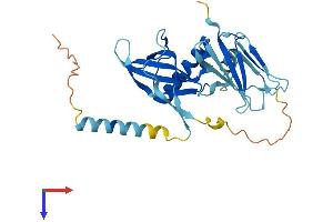 AlphaFold protein structure predicition of Mouse Recombinant Pih1d1 Protein, UniprotID Q9CQJ2