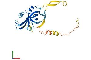 AlphaFold protein structure predicition of Human Recombinant ARPIN Protein, UniprotID Q7Z6K5