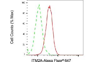 anti-Integral Membrane Protein 2A (ITM2A) antibody