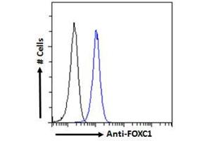 ABIN185028 Flow cytometric analysis of paraformaldehyde fixed HEK293 cells (blue line), permeabilized with 0. (FOXC1 anticorps  (C-Term))