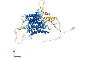 AlphaFold protein structure predicition of Mouse Recombinant Slc23a3 Protein, UniprotID Q60850