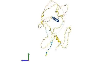 AlphaFold protein structure predicition of Human Recombinant RAD51AP1 Protein, UniprotID Q96B01