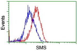 Flow cytometric Analysis of Hela cells, using anti-SMS antibody (ABIN2454723), (Red), compared to a nonspecific negative control antibody, (Blue). (SMS anticorps)