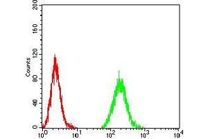 Flow cytometric analysis of MCF-7 cells using UHRF1 mouse mAb (green) and negative control (red).