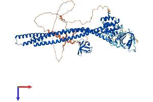 AlphaFold protein structure predicition of Human Recombinant ARHGAP26 Protein, UniprotID Q9UNA1