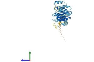 AlphaFold protein structure predicition of Human Recombinant MYD88 Protein, UniprotID Q99836