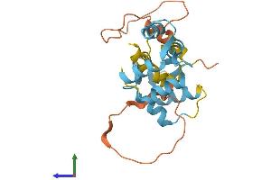 AlphaFold protein structure predicition of Human Recombinant MYL10 Protein, UniprotID Q9BUA6