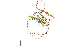 AlphaFold protein structure predicition of Mouse Recombinant Ikzf3 Protein, UniprotID O08900