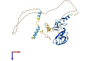 AlphaFold protein structure predicition of Mouse Recombinant Pdlim2 Protein, UniprotID Q8R1G6