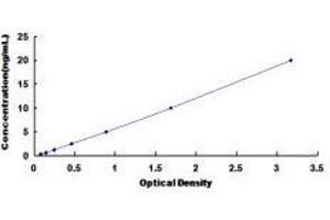Glutamate Receptor, Ionotropic, AMPA 3 (GRIA3) ELISA Kit