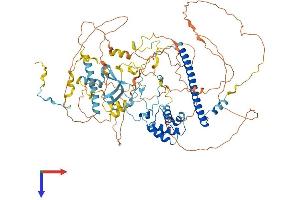 AlphaFold protein structure predicition of Mouse Recombinant Epc1 Protein, UniprotID Q8C9X6