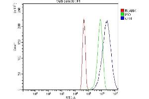 Flow Cytometry analysis of U251 cells using anti-Factor H/CFH antibody (ABIN7599768).