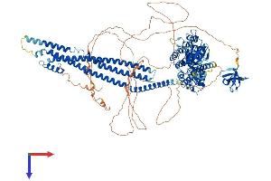 AlphaFold protein structure predicition of Human Recombinant ASAP1 Protein, UniprotID Q9ULH1