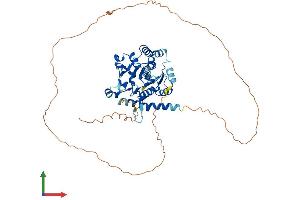 AlphaFold protein structure predicition of Human Recombinant GYG2 Protein, UniprotID O15488