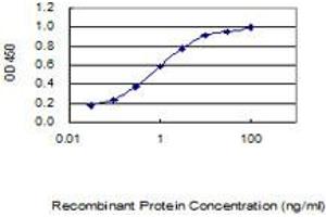 anti-MGC50273 (AA 1-209) antibody