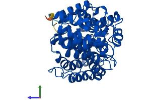 AlphaFold protein structure predicition of Mouse Recombinant Adprh Protein, UniprotID P54923
