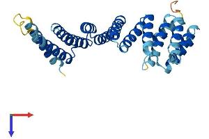 AlphaFold protein structure predicition of Mouse Recombinant Napa Protein, UniprotID Q9DB05