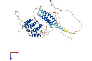 AlphaFold protein structure predicition of Mouse Recombinant Tom1l1 Protein, UniprotID Q923U0