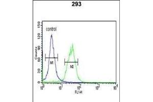 TRIB2 Antibody (N-term) (ABIN652876 and ABIN2842567) flow cytometric analysis of 293 cells (right histogram) compared to a negative control cell (left histogram).