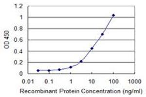 Detection limit for recombinant GST tagged PDPK2 is 0.