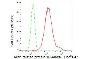 Flow cytometric analysis of Actin related protein 1B expression in HT- cells using Actin related protein 1B antibody (ABIN7797651), 1:2,000).