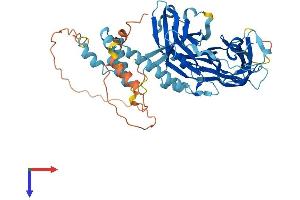 AlphaFold protein structure predicition of Human Recombinant FBXO15 Protein, UniprotID Q8NCQ5