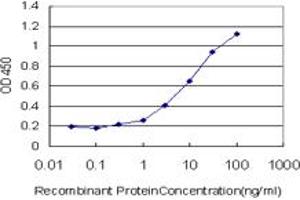 Detection limit for recombinant GST tagged TLN1 is approximately 0. (TLN1 anticorps  (AA 1052-1149))
