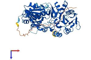 AlphaFold protein structure predicition of Mouse Recombinant B3glct Protein, UniprotID Q8BHT6
