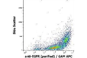 Flow cytometry surface staining pattern of A-431 cells stained using anti-EGFR (EGFR1) purified antibody (concentration in sample 1 μg/mL) GAM APC. (EGFR anticorps)