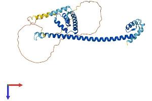 AlphaFold protein structure predicition of Human Recombinant HMG20A Protein, UniprotID Q9NP66