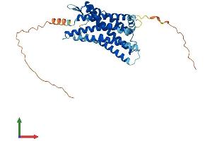 AlphaFold protein structure predicition of Human Recombinant GPR17 Protein, UniprotID Q13304
