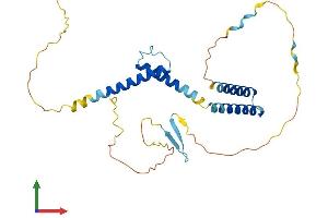 AlphaFold protein structure predicition of Human Recombinant HES1 Protein, UniprotID Q14469