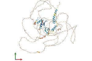 AlphaFold protein structure predicition of Mouse Recombinant Champ1 Protein, UniprotID Q8K327