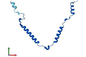 AlphaFold protein structure predicition of Mouse Recombinant Mrpl57 Protein, UniprotID Q9CQF8