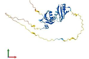AlphaFold protein structure predicition of Mouse Recombinant Snrpa Protein, UniprotID Q62189