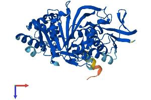 AlphaFold protein structure predicition of Human Recombinant GDI2 Protein, UniprotID P50395
