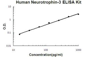 Human Neurotrophin-3 Accusignal ELISA Kit Human Neurotrophin-3 AccuSignal ELISA Kit standard curve.