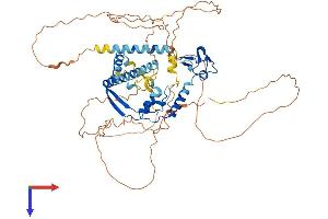 AlphaFold protein structure predicition of Human Recombinant CSRNP1 Protein, UniprotID Q96S65