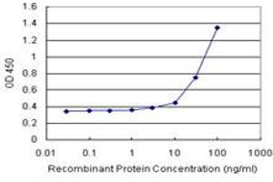 Sandwich ELISA detection sensitivity ranging from 3 ng/mL to 100 ng/mL. (CBS (Humain) Matched Antibody Pair)