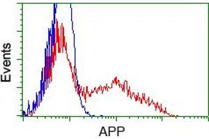 Image no. 8 for anti-Amyloid beta (A4) Precursor Protein (APP) antibody (ABIN1496877) (APP anticorps)