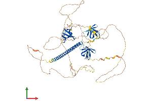 AlphaFold protein structure predicition of Human Recombinant CD2AP Protein, UniprotID Q9Y5K6
