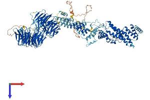 AlphaFold protein structure predicition of Human Recombinant COPA Protein, UniprotID P53621