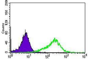 Flow cytometric analysis of HepG2 cells using ALPI mouse mAb (green) and negative control (purple). (Intestinal Alkaline Phosphatase anticorps  (AA 397-458))